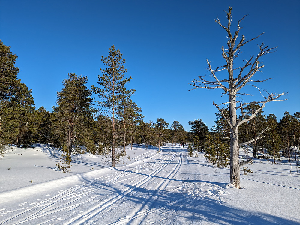Flotte løyper
