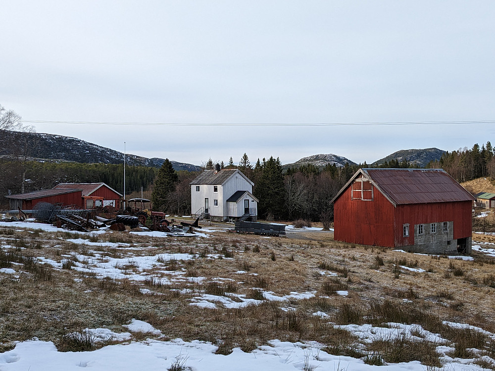 Lundaunet