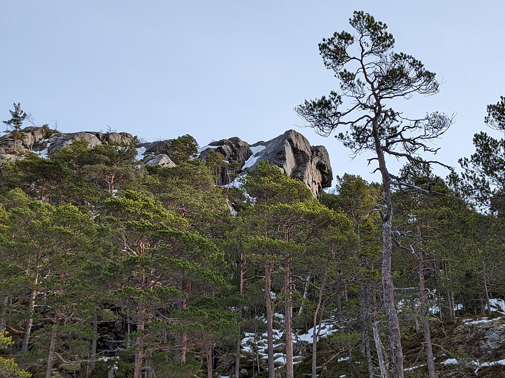 Grønlandsfjellet