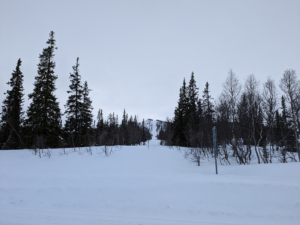 Grensen mellom Sverige og Norge