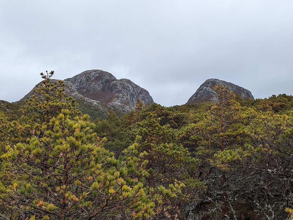 Fjella i øst