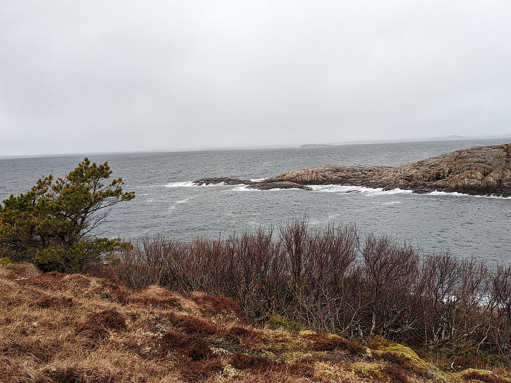 Skeiskaodden