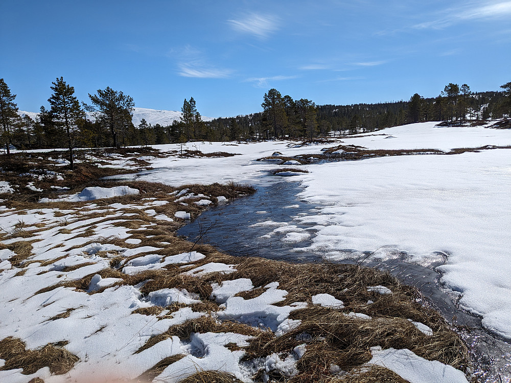 Vår i fjellet