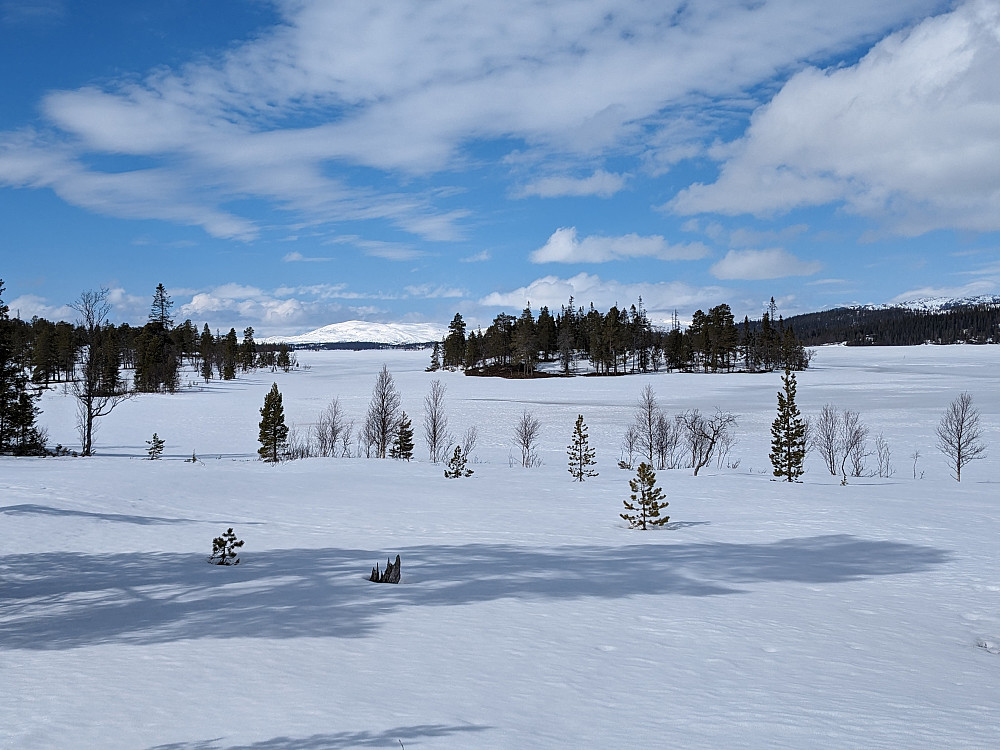 Storøya på Ingelsvann