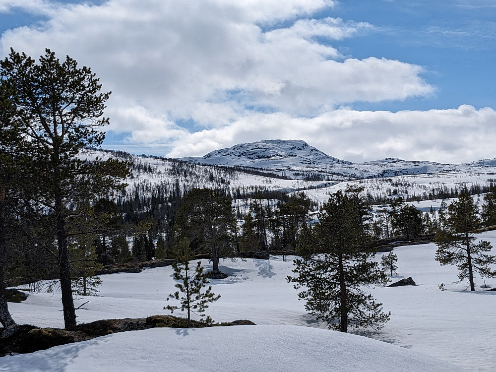 Storfjellet