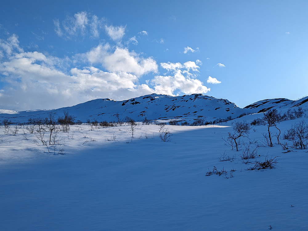 Tilbakeblikk på Storfjellet