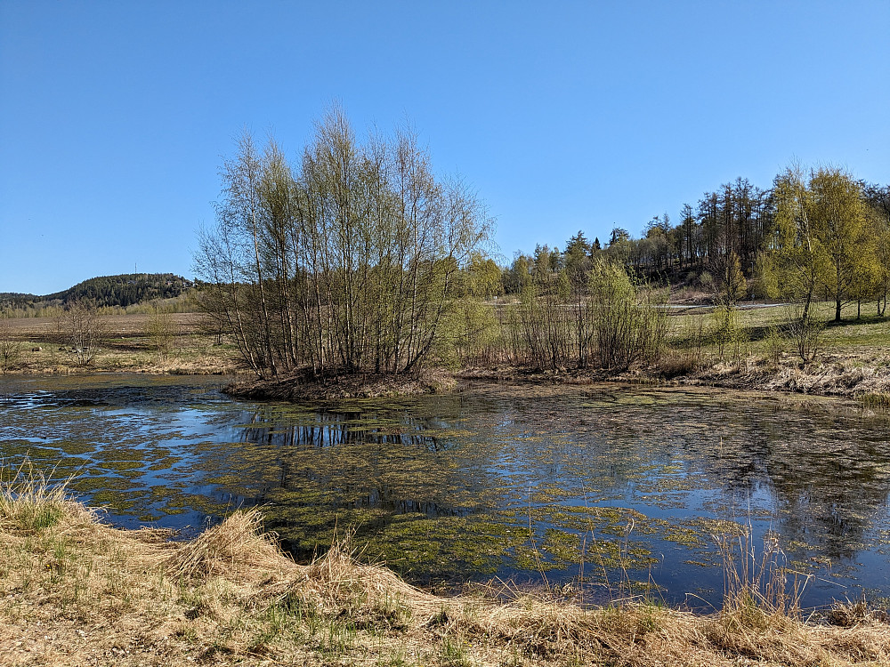 Ei flott tjønn i starten