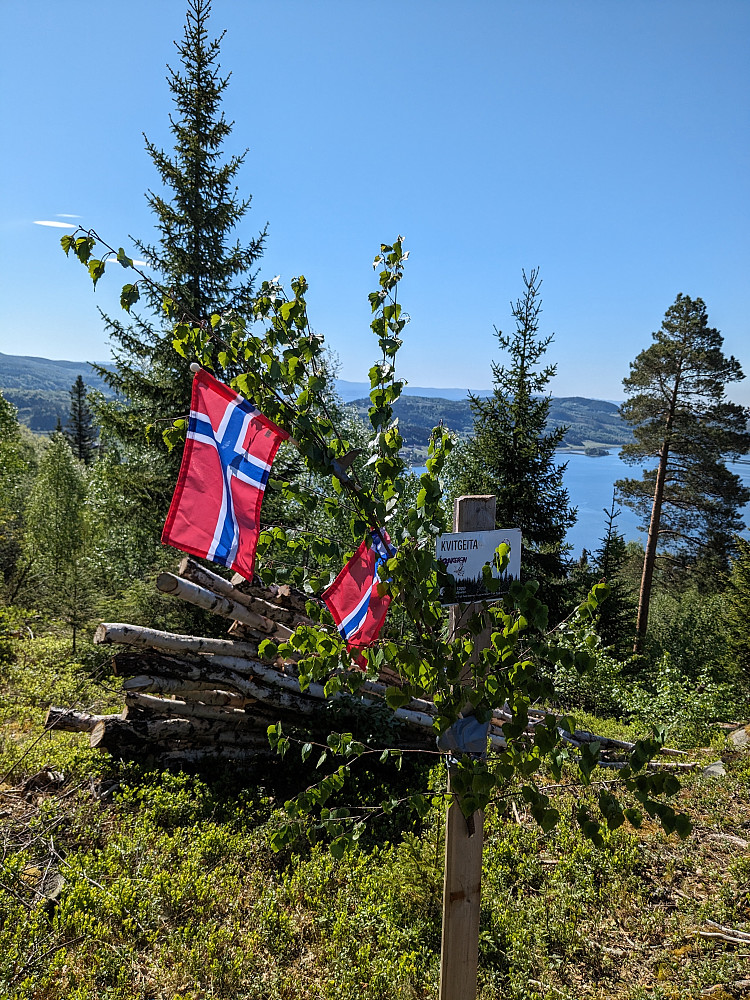 Kvitgeita