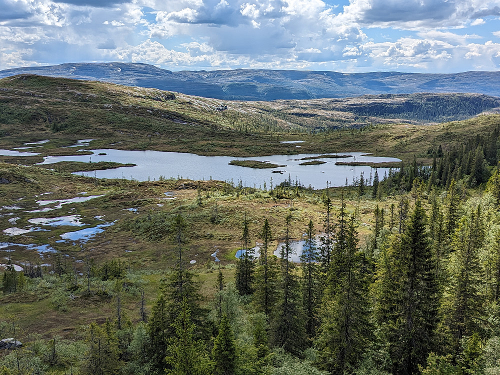 Finnburtjønna