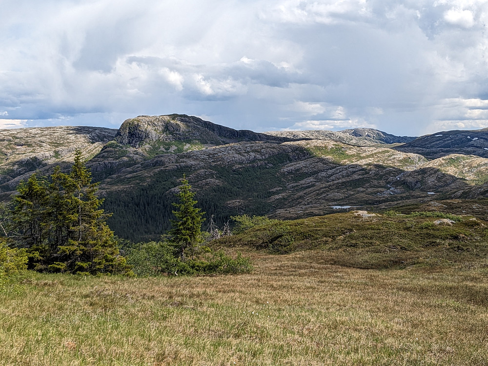 Storengaksla