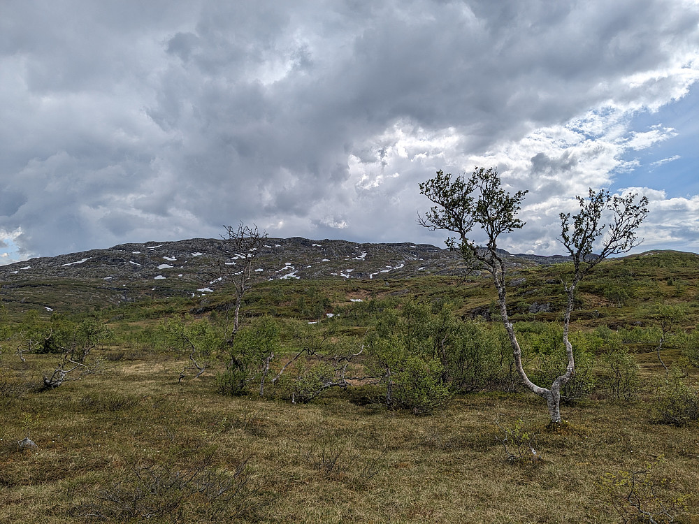 Regn over Bjørkvassklumpen