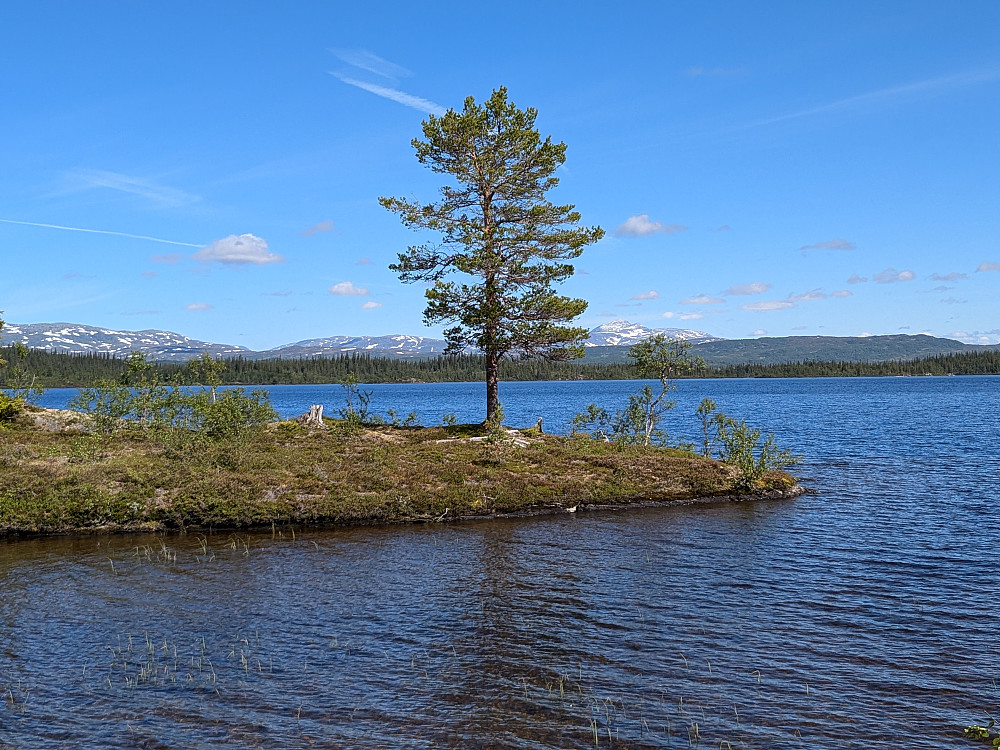 Storgollomsvatnet