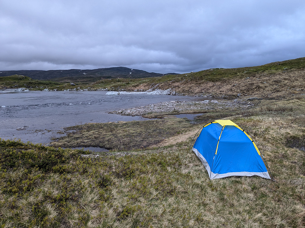 Flott teltplass ved Blyvatnet