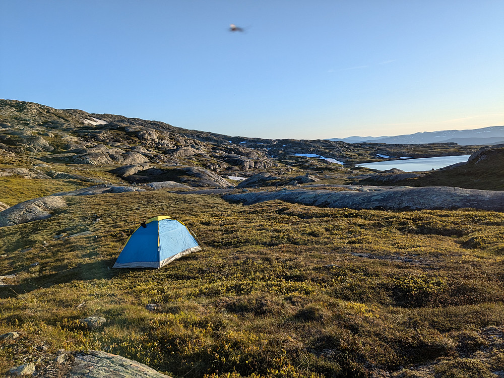 Teltplass like ved Bleikarvatnet i bakgrunnen