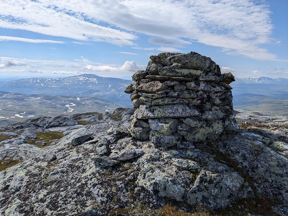 Toppvarden på Bleikarfjellet