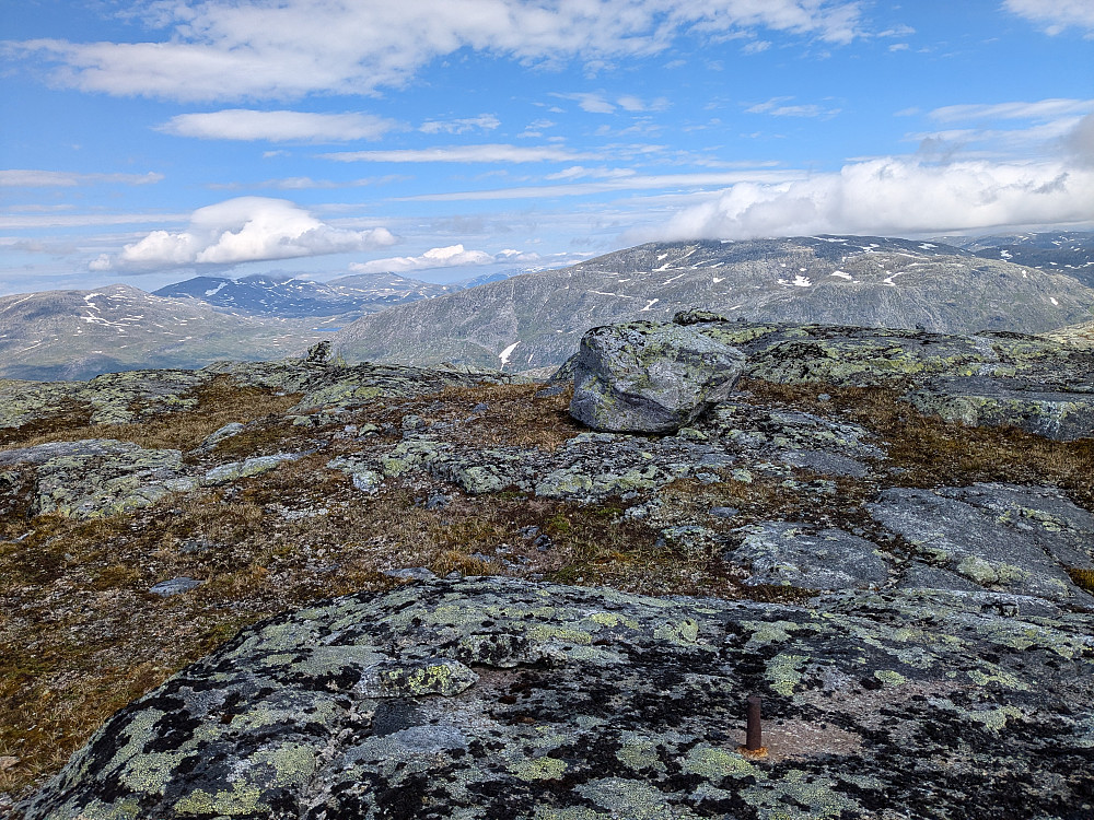 Trigpunktbolten på Bleikarfjellet. Utsikt mot Grane Kommune