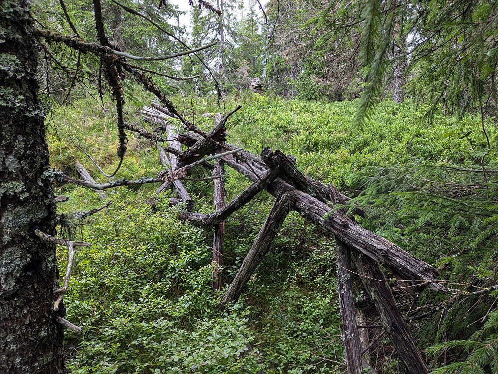 Rester av trigpunkt. Varde bak
