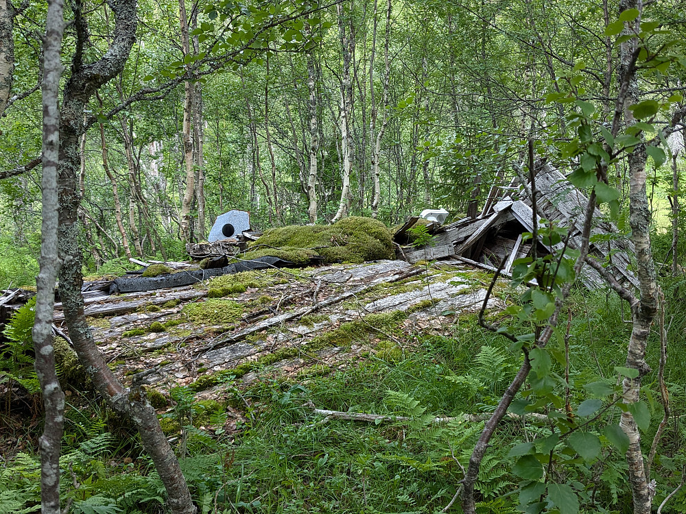 Nellehytta er rast sammen