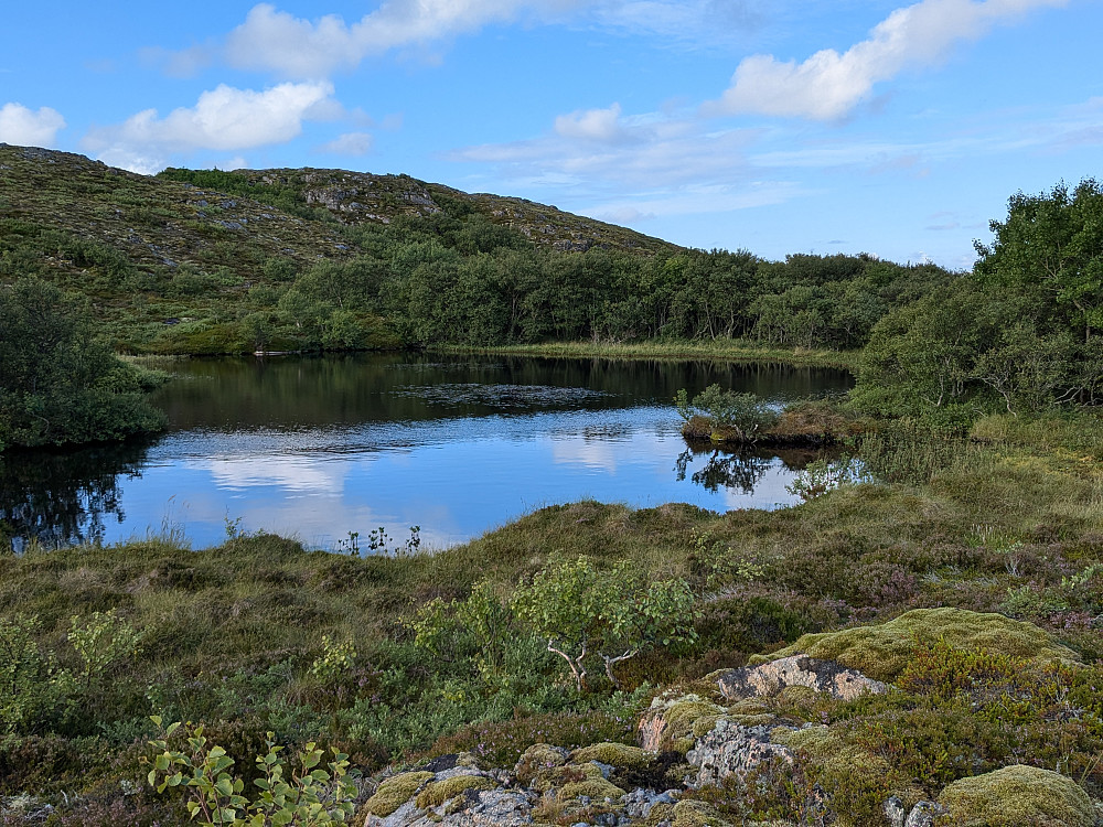 Ei lita tjønn på Børsøya