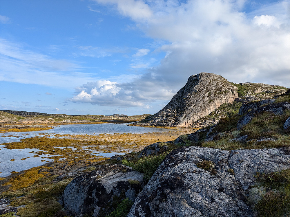 Børsøyhauet