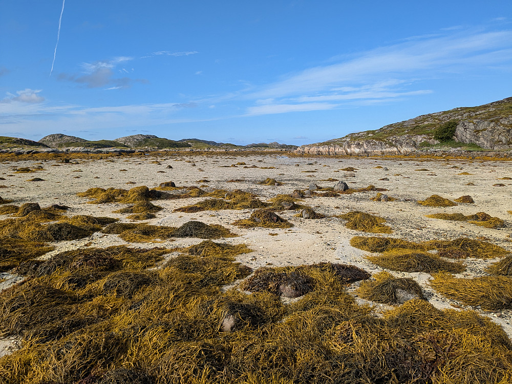 Flott fjærevandring