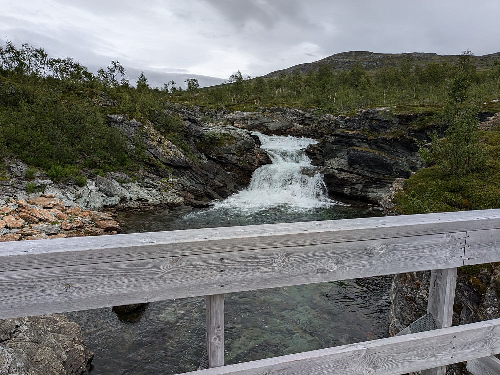 Jetnamselven
