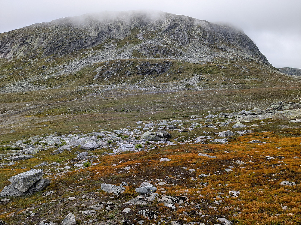 Storebørgefjellet sør 1256