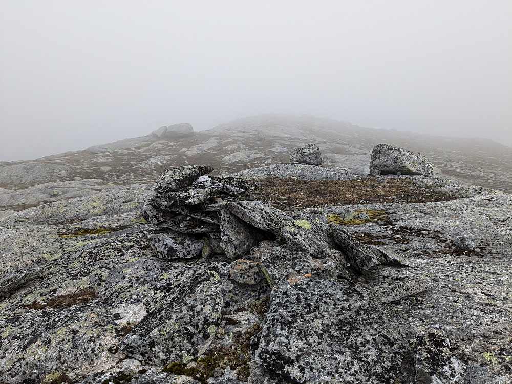 Varde på Store Børgefjellet sør 1256