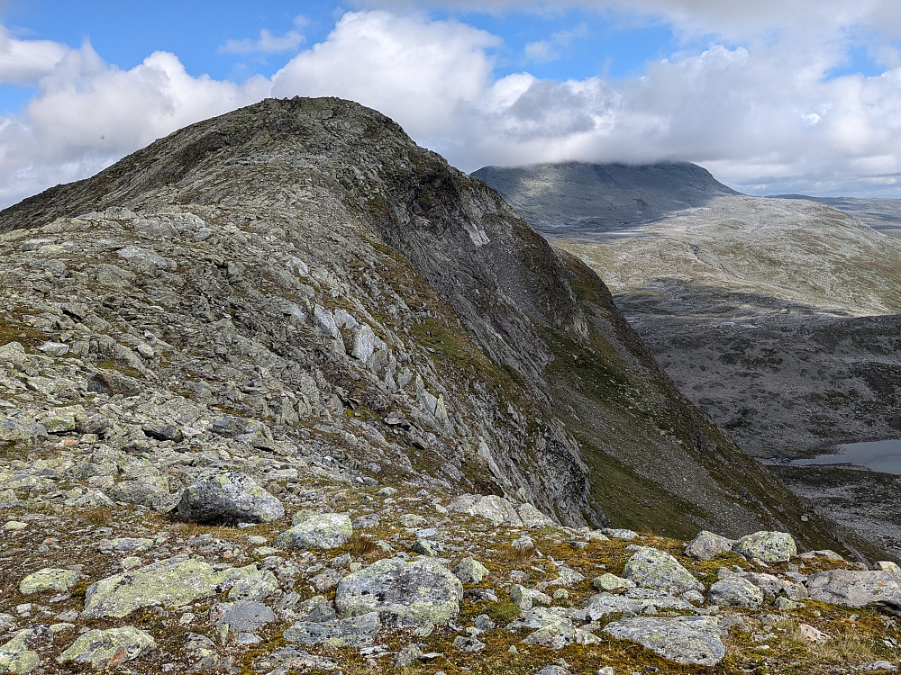 Siste ryggen mot Store Børgefjellet 1324