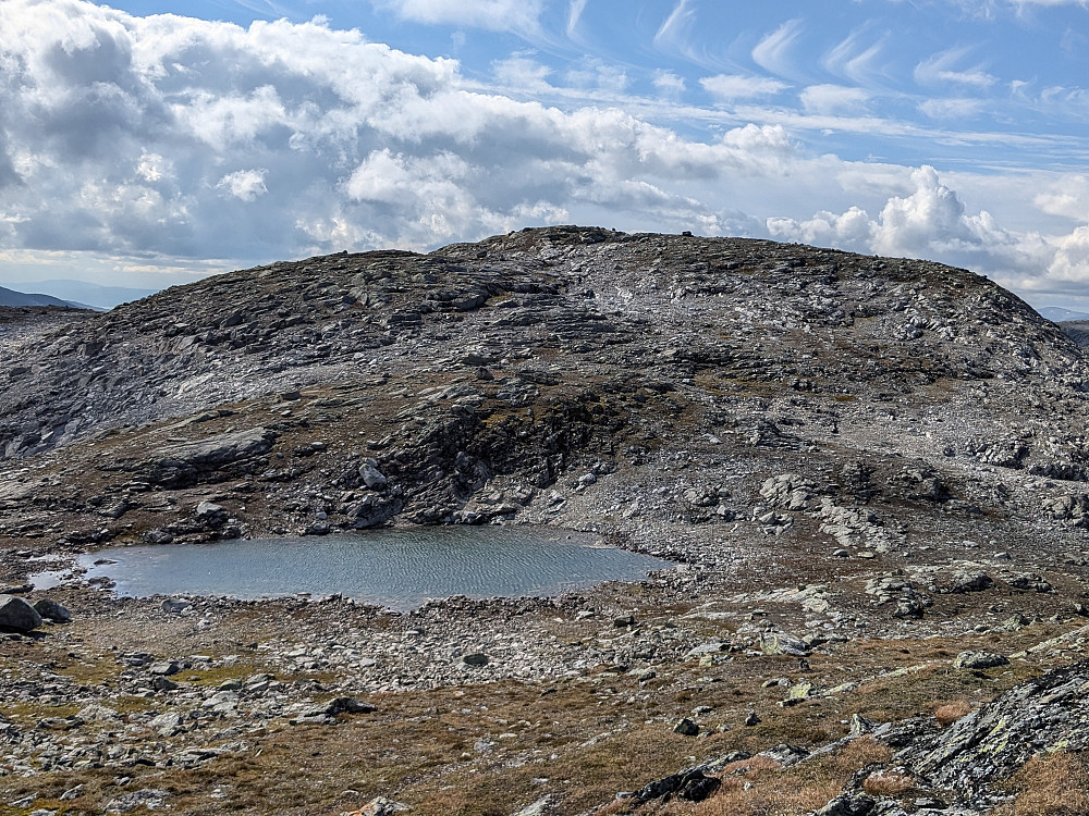 Virmafjellet 1256