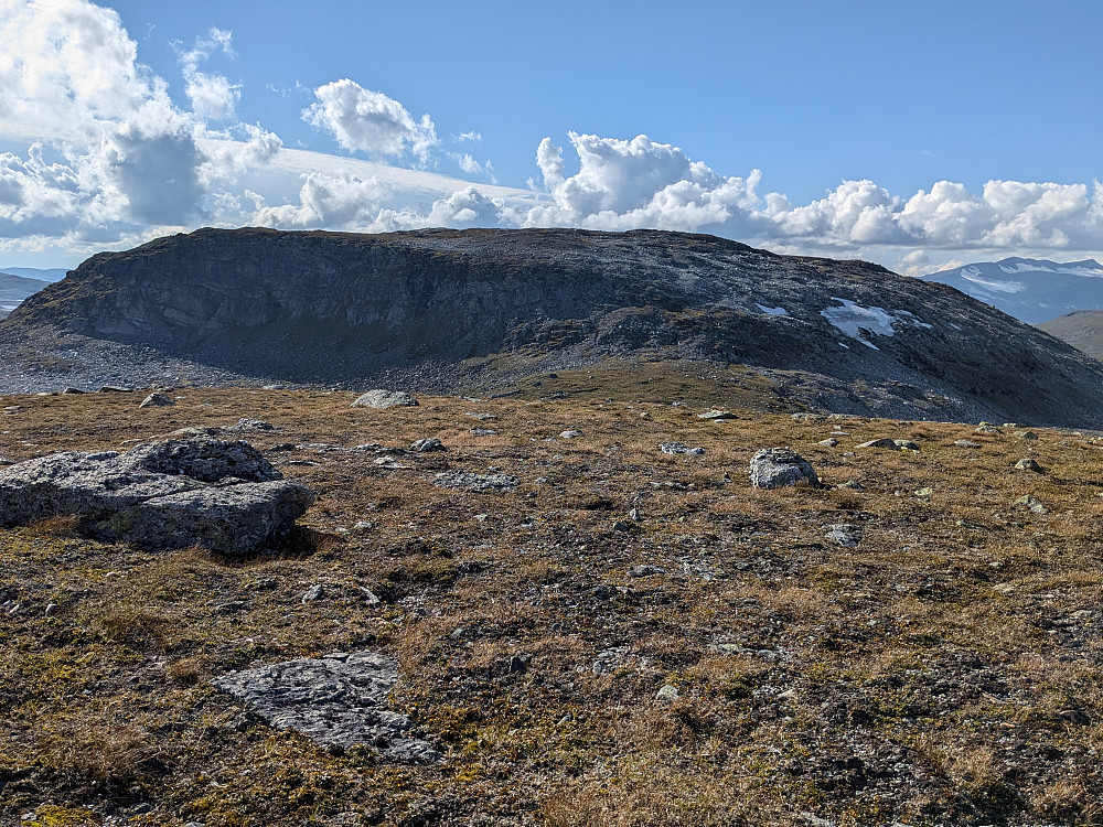 Virmafjellet vest 1219