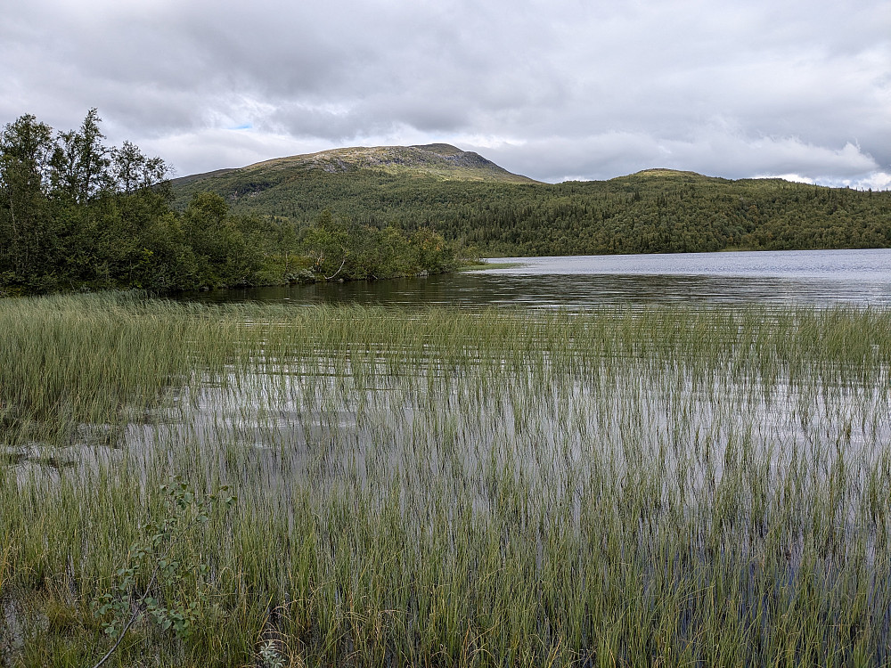 Rørsjøen på svensk side av grensen med Gruksfjellet bak