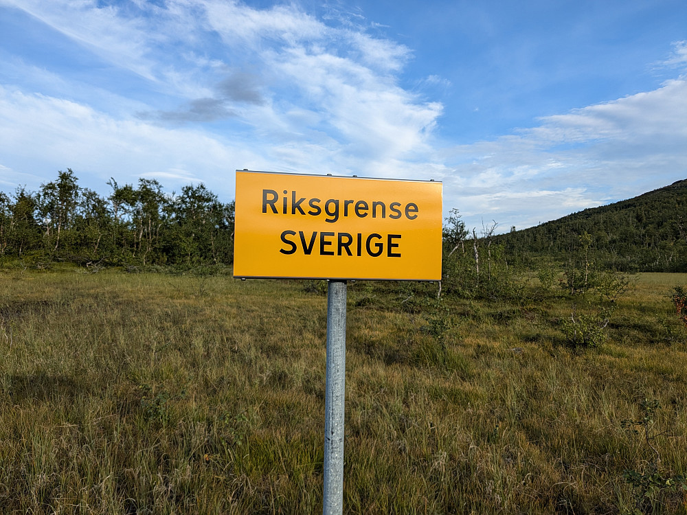 Tilbake til Sverige