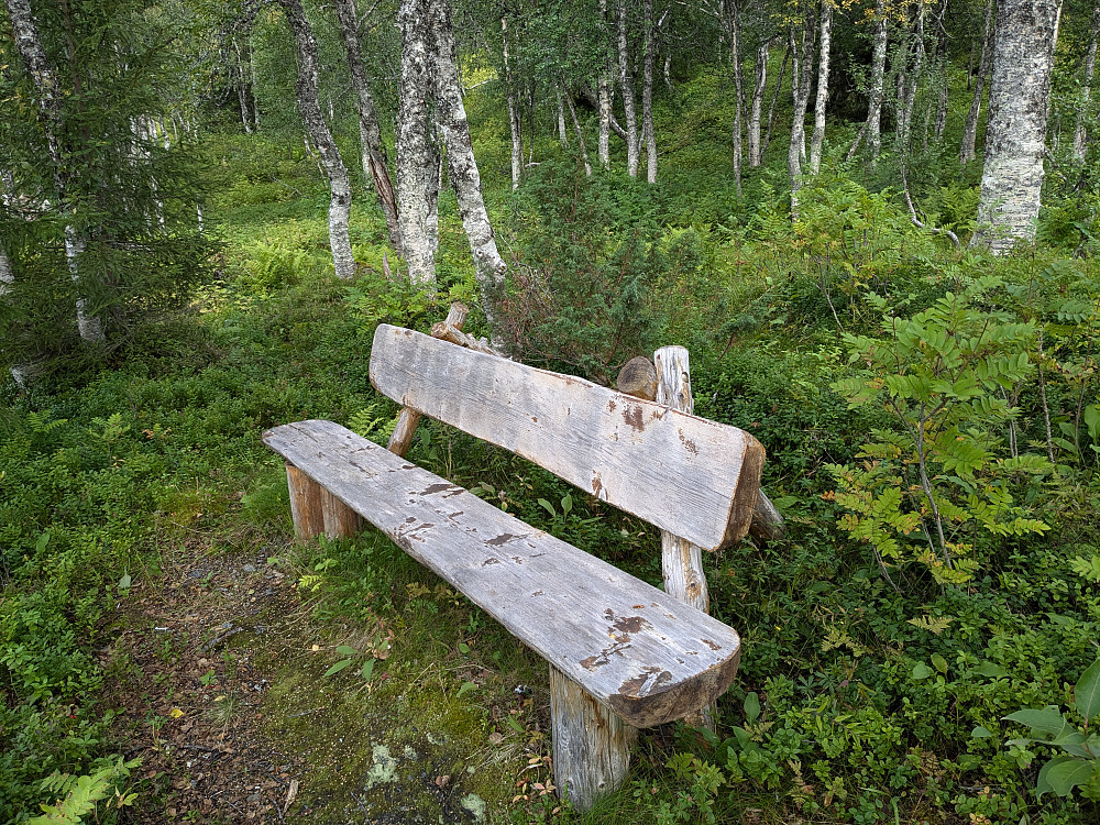 Litt tidlig for rast ennå.
