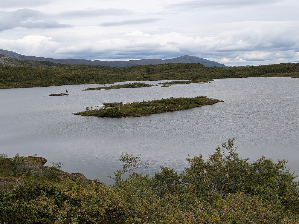 Holmtjønna