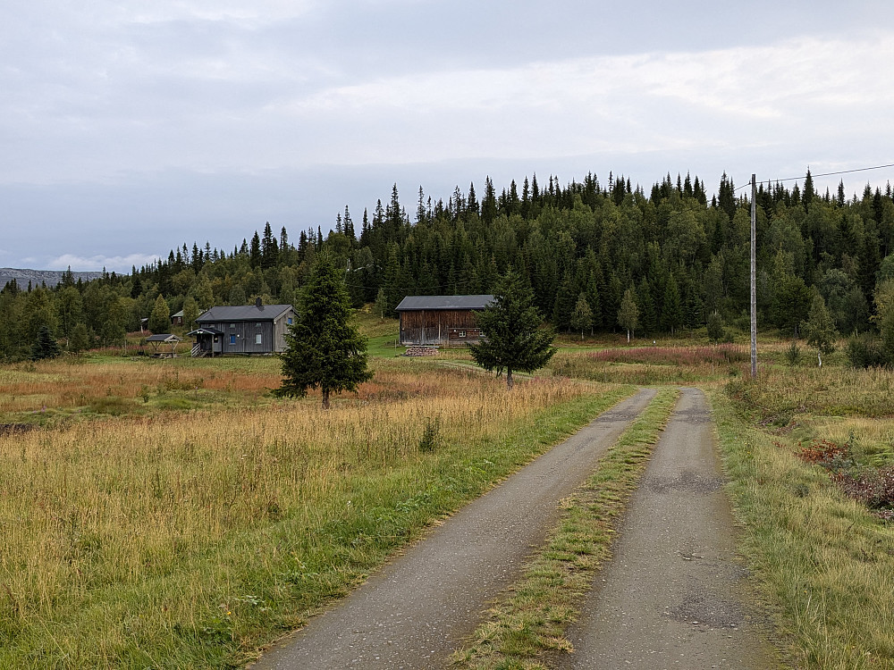 Veien til Arnbygget