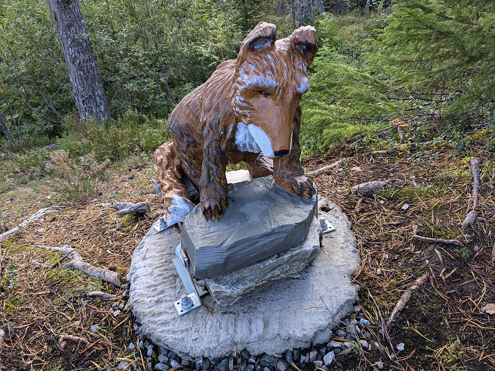 Fra Svarttjønnbua 