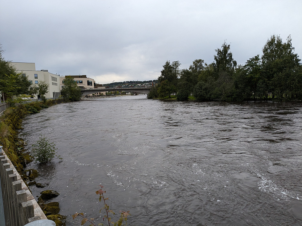 Steinkjerelva 