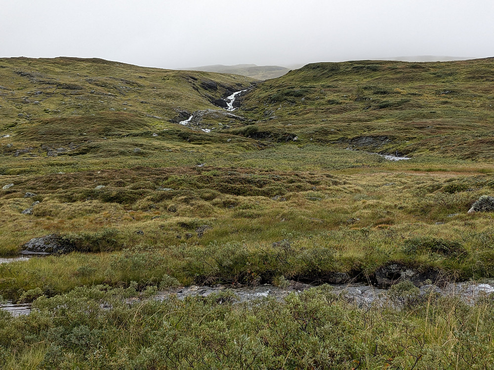 Tunnurfjellet i midten