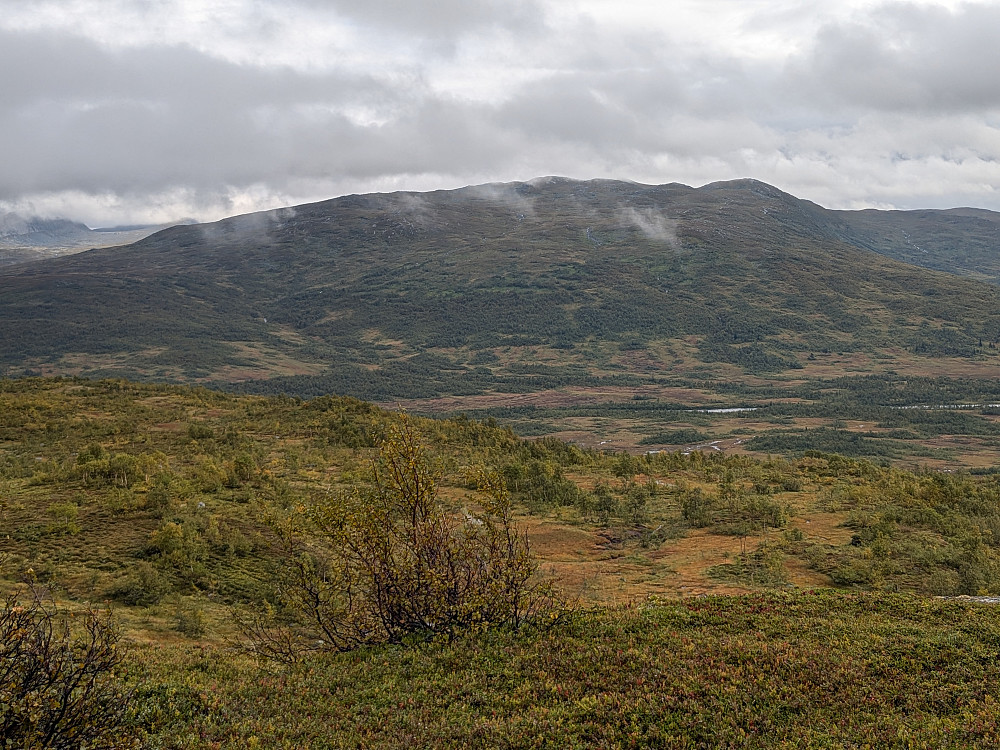 Tunnurfjellet