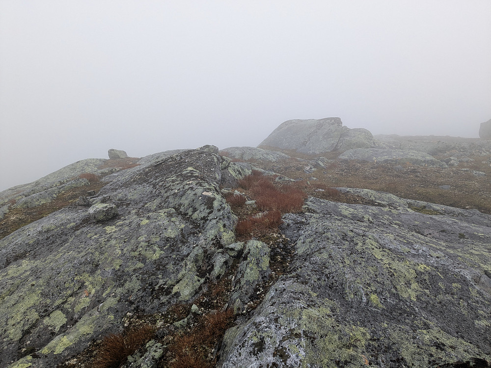 Toppen av Lotterfjellet