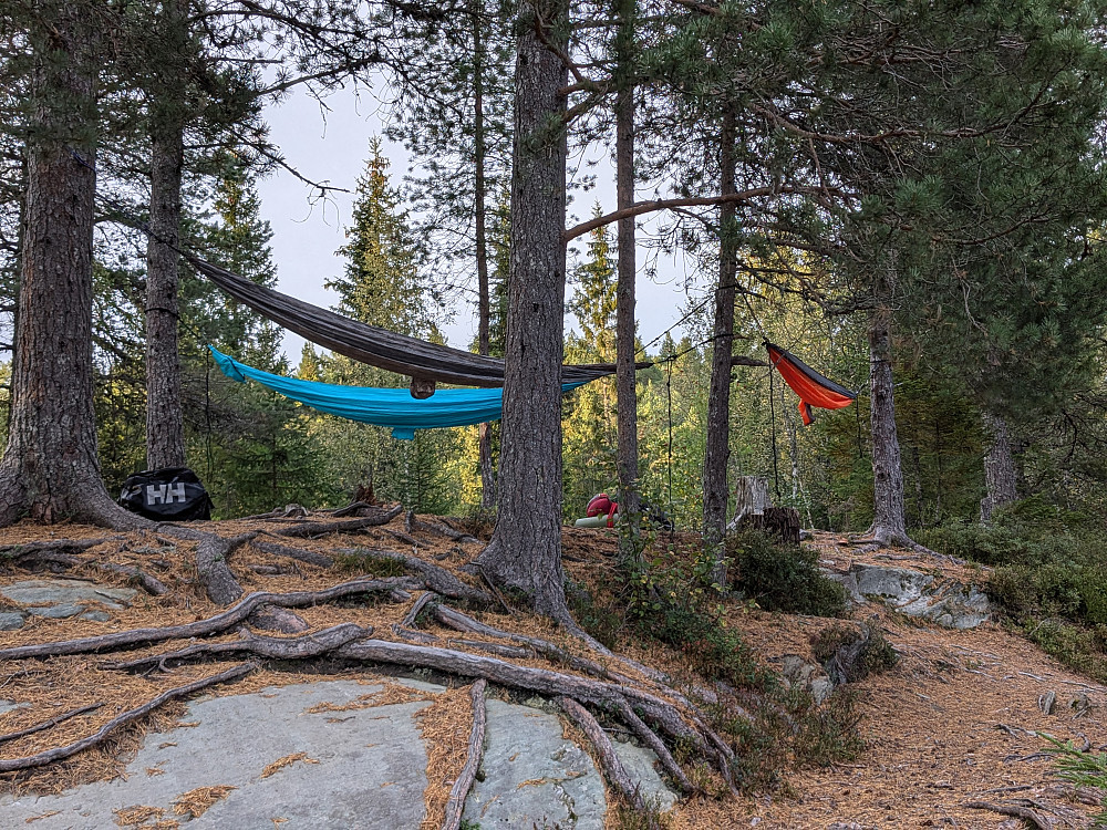 Fra Svarttjønnbua 