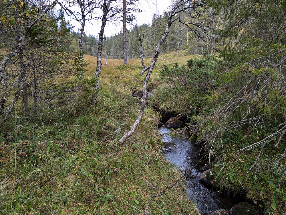 Finnbudalen