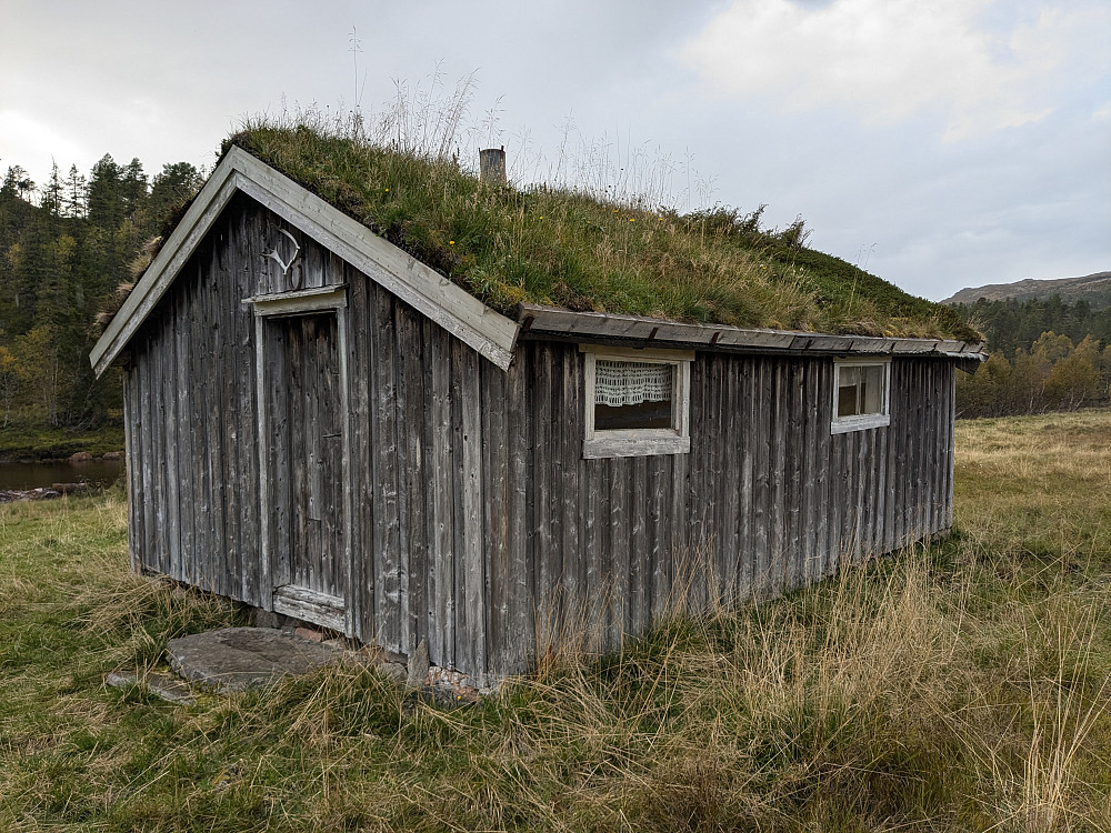 Seter ved Nesa