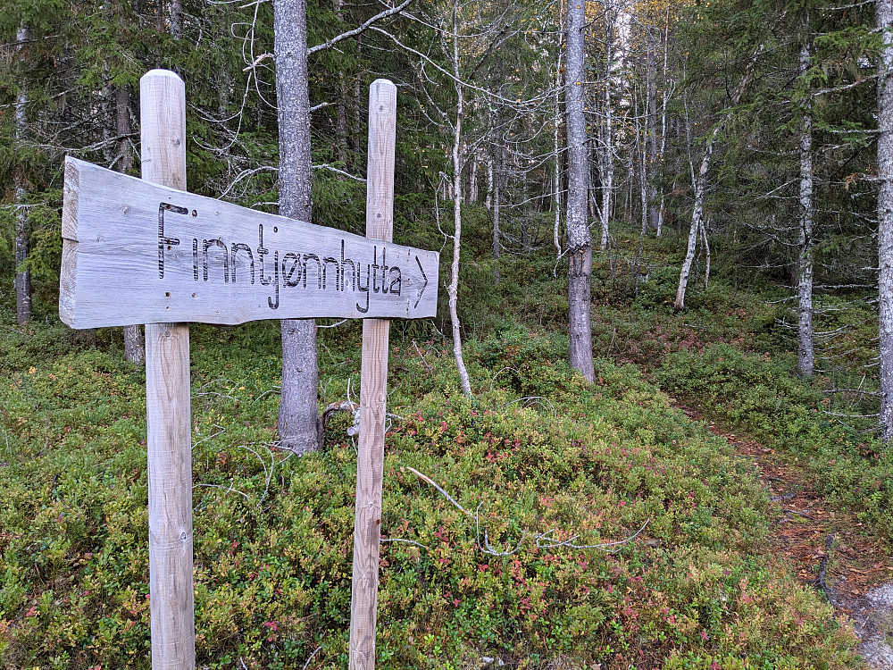God sti opp til Finntjønnhytta