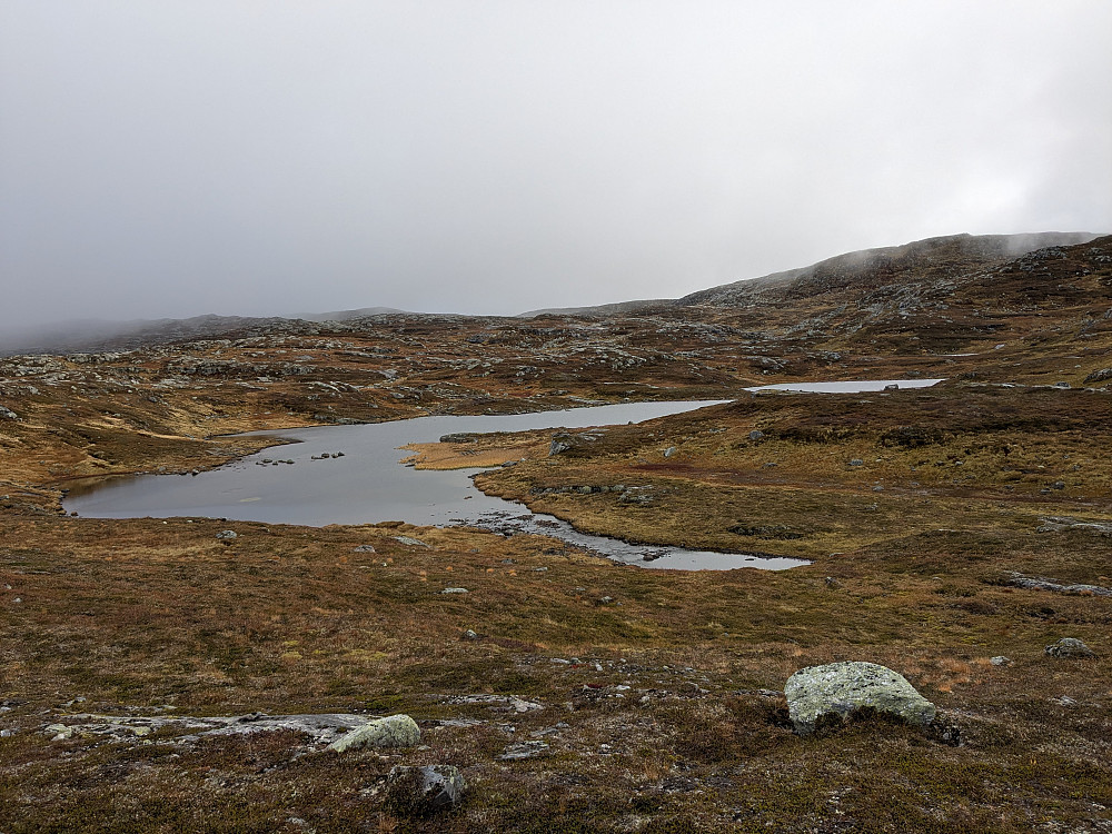 Vinkeltjønna
