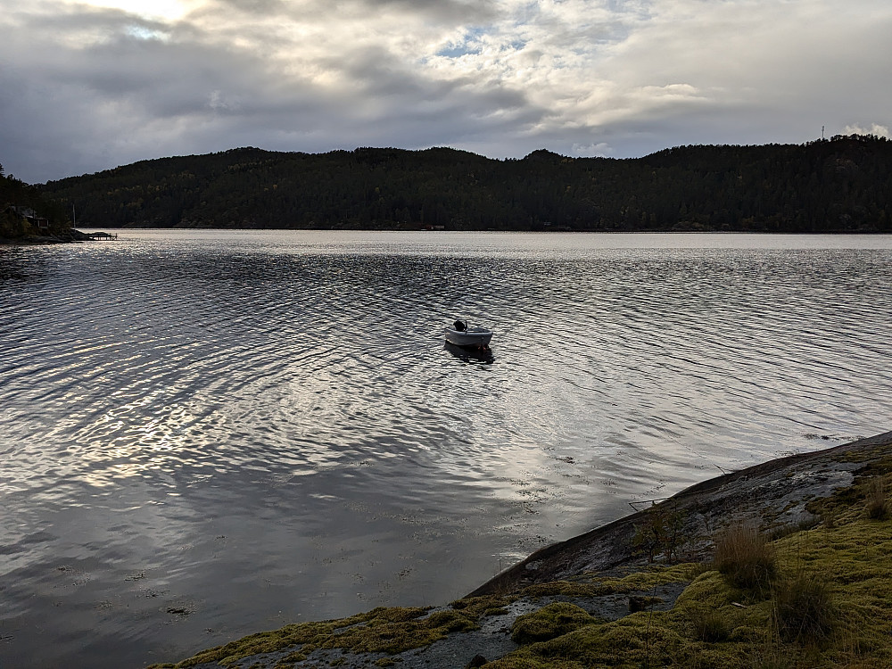Kattmarkvika