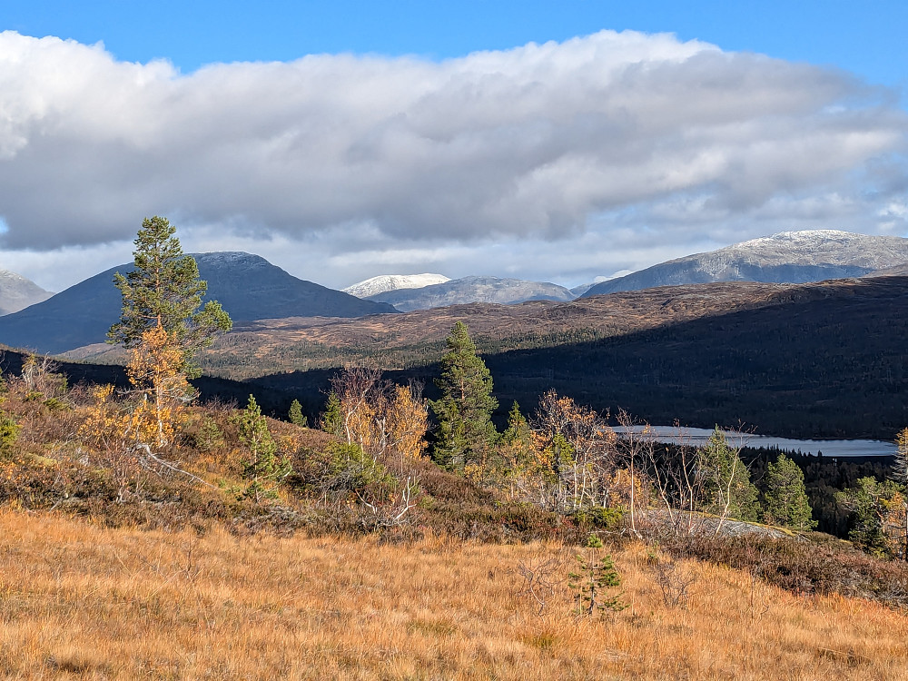 Melis på toppene i Børgefjell