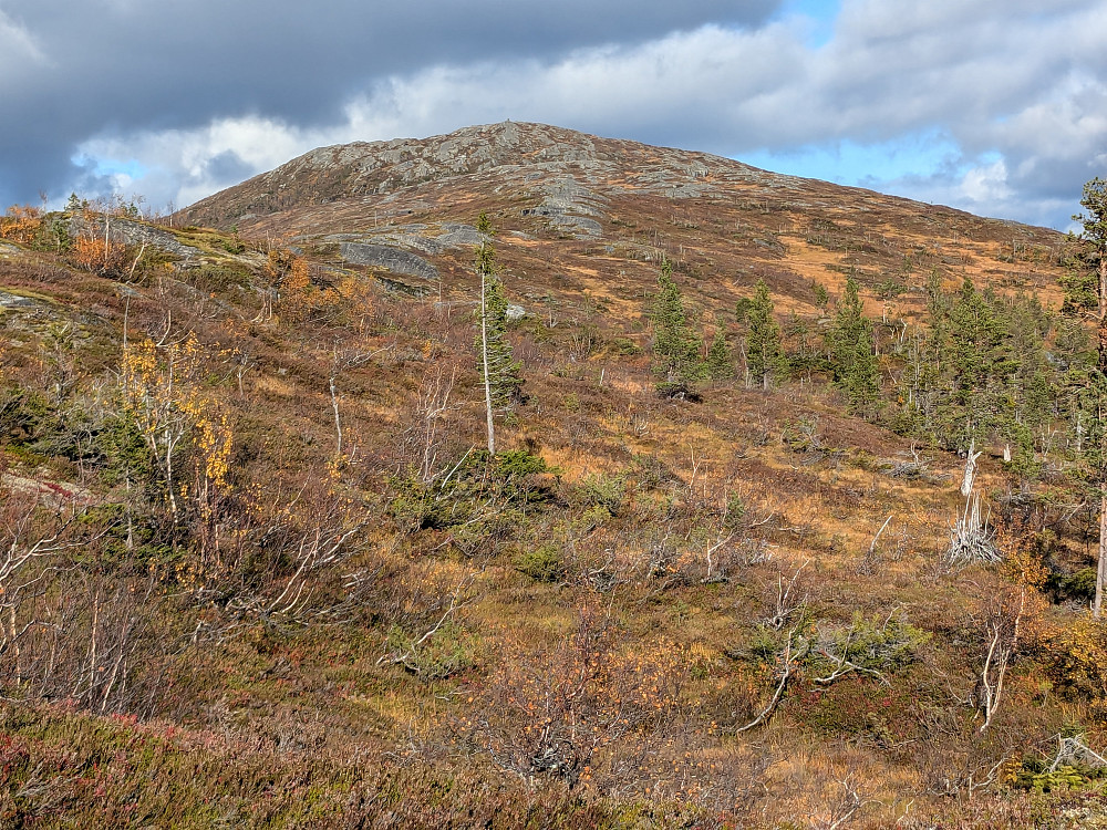 Løytnantsklumpen