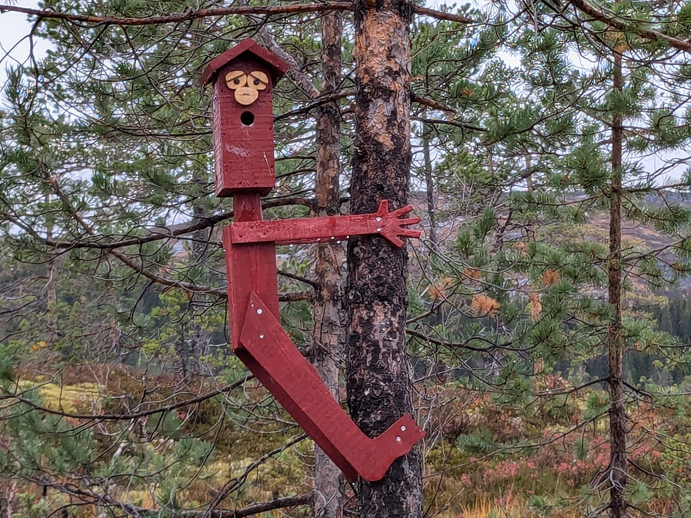 Mellingsvegen, Namsskogan